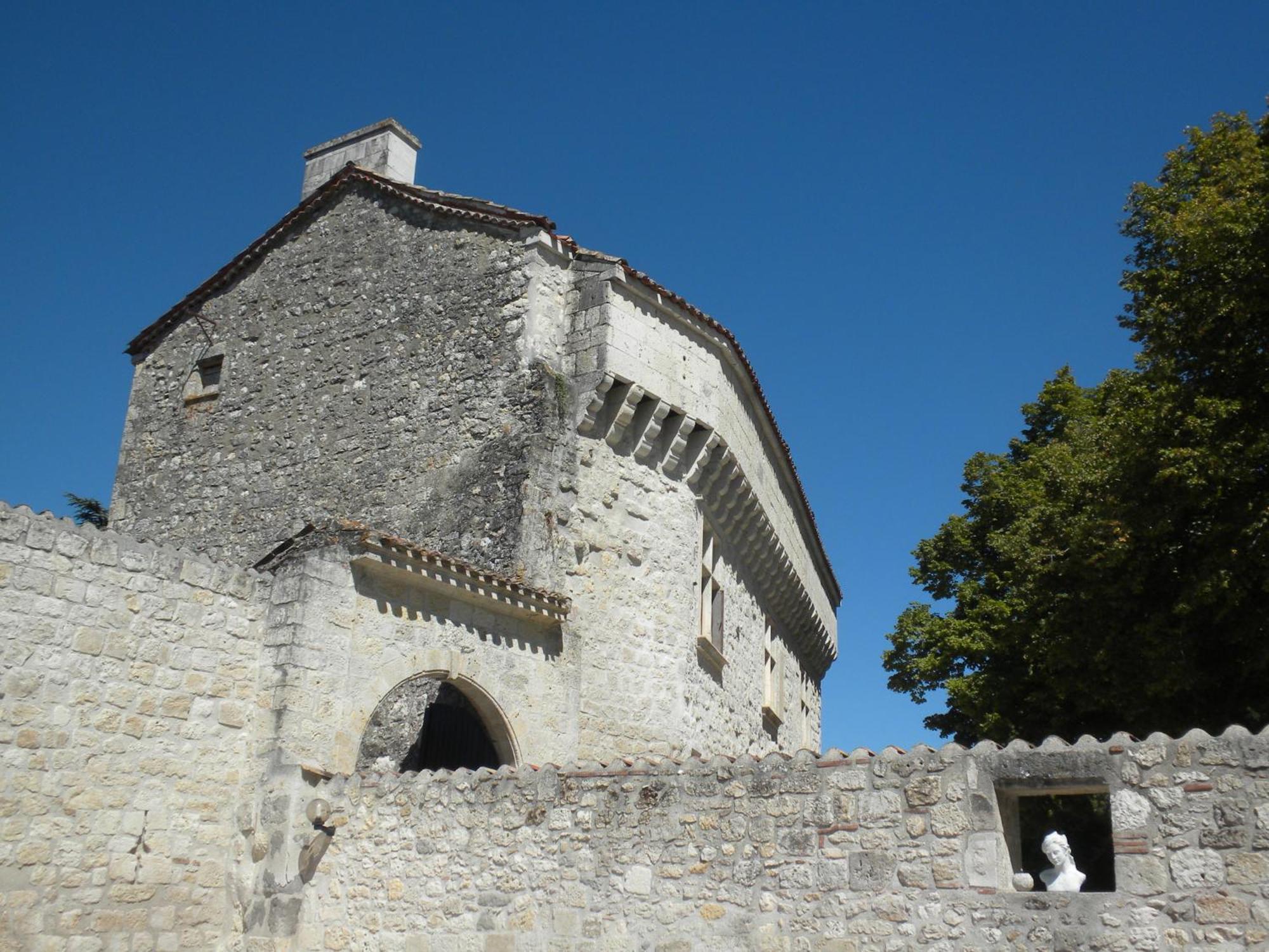 Chateau De Pleneselve Bon-Encontre Buitenkant foto