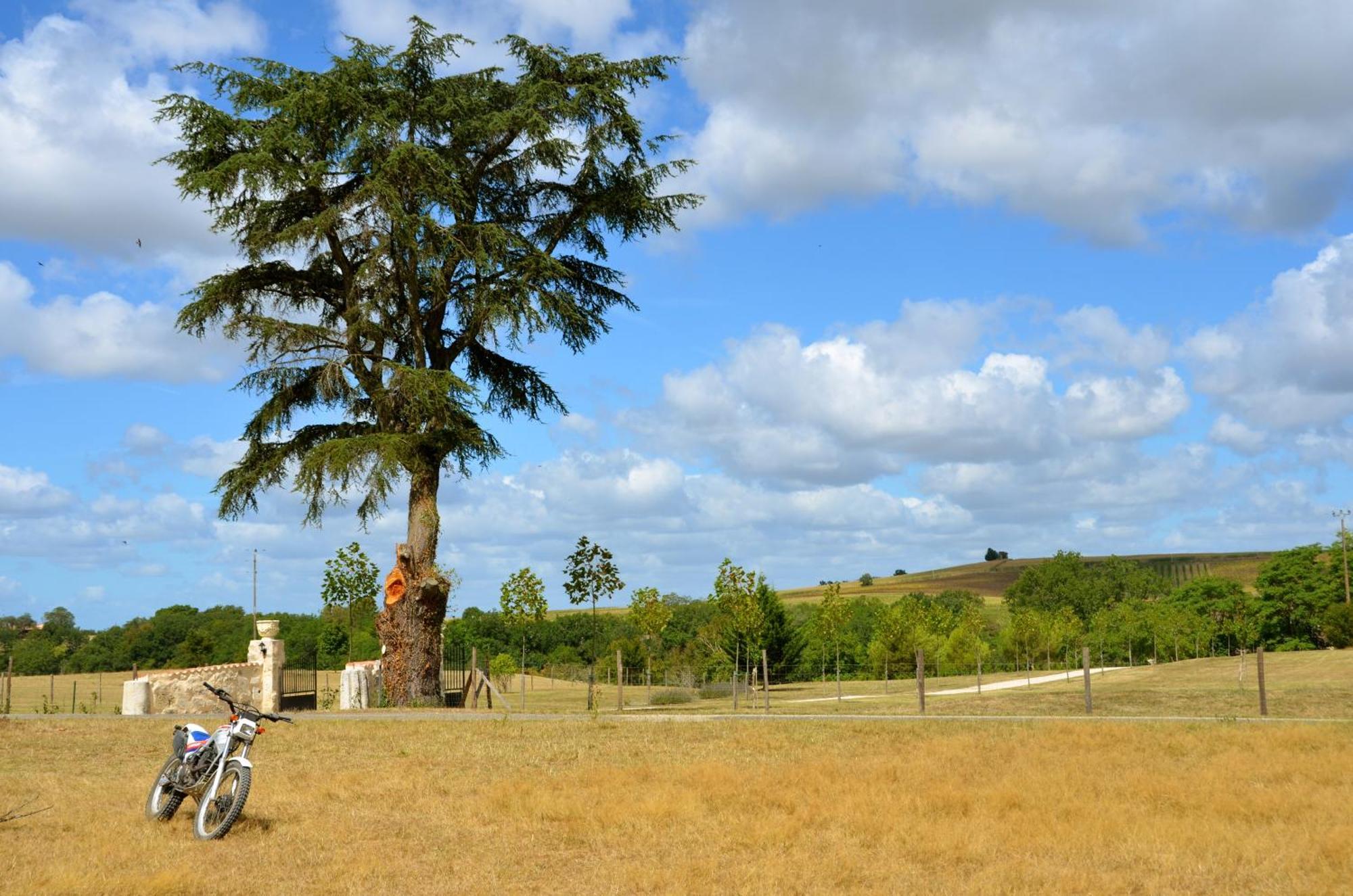 Chateau De Pleneselve Bon-Encontre Buitenkant foto