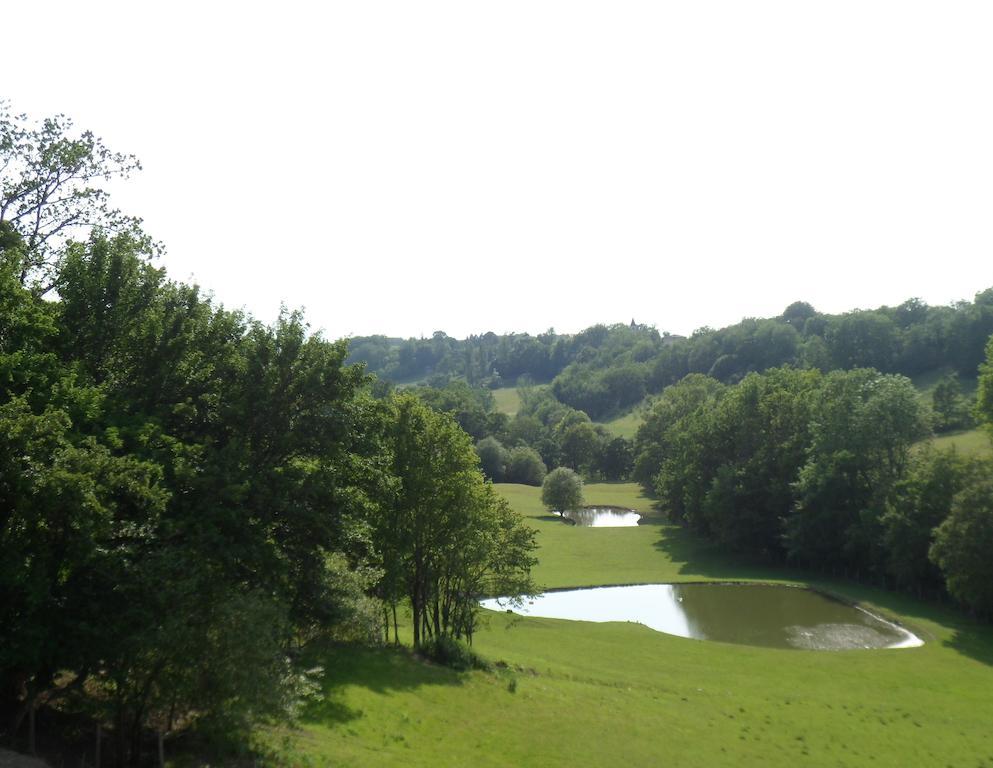 Chateau De Pleneselve Bon-Encontre Kamer foto